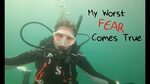 My Worst Fear Comes True! - Lazy Gecko VLOG 91 - YouTube